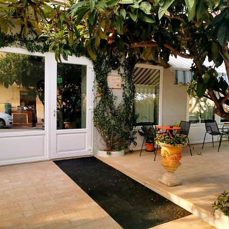 Casa Cipriani Bed & Breakfast Potenza Picena Exterior photo
